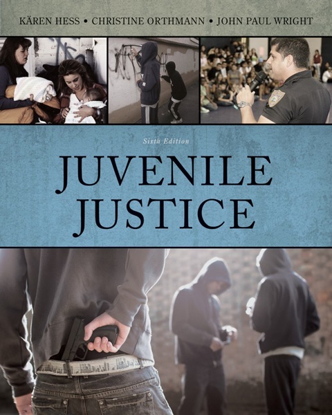 Cover image for book Juvenile Justice