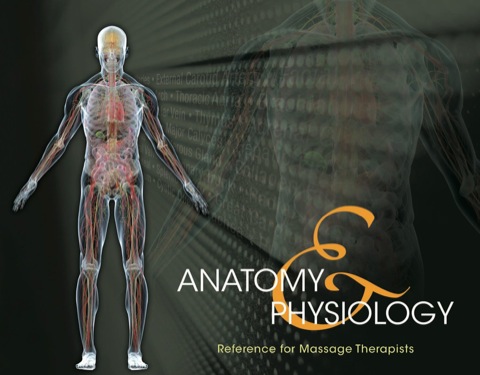 Cover image for book Anatomy & Physiology Reference for Massage Therapists