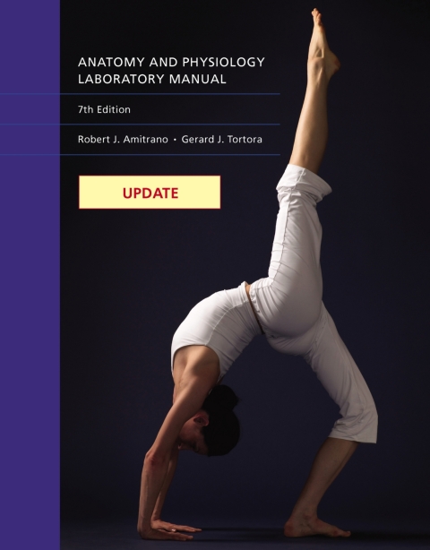 Cover image for book Update: Anatomy & Physiology Laboratory Manual