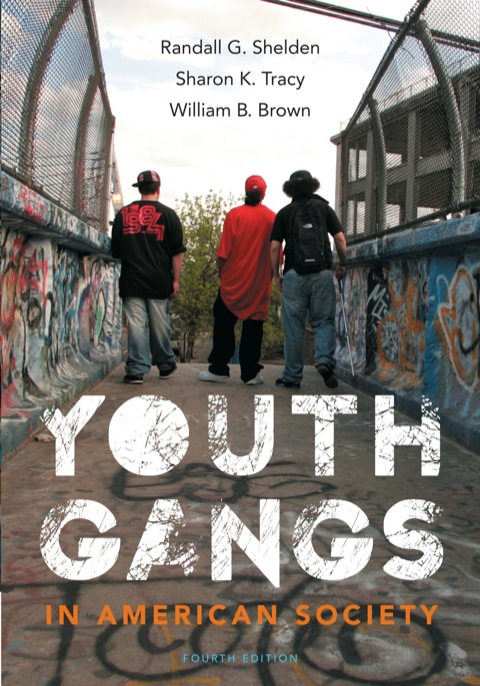 Cover image for book Youth Gangs in American Society