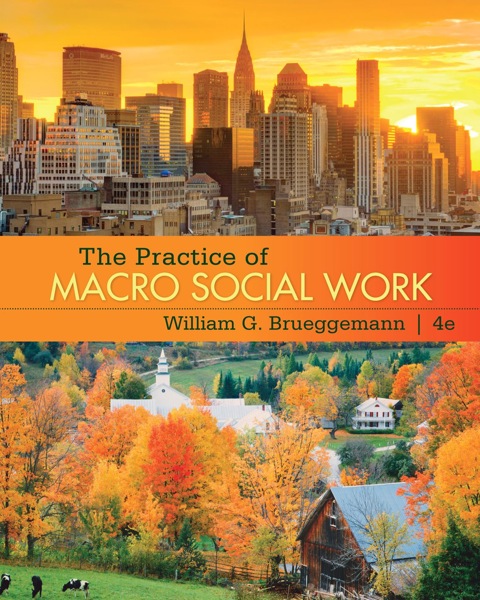 Cover image for book The Practice of Macro Social Work