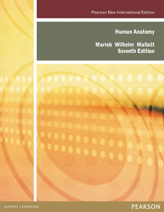 Human Anatomy