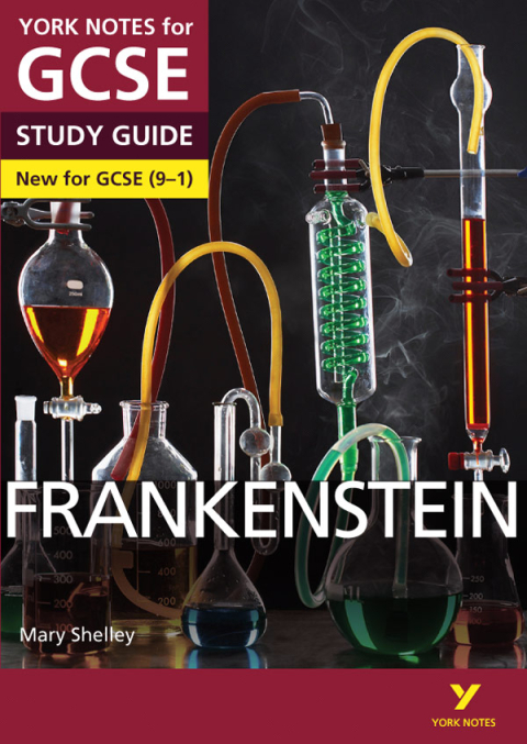 Cover image for book Frankenstein: York Notes for GCSE (9-1) Study Guide