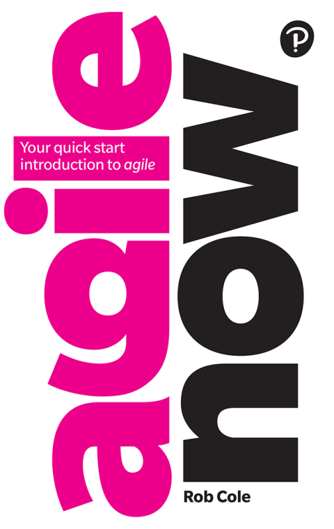 Cover image for book Agile Now