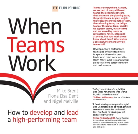 Cover image for book When Teams Work