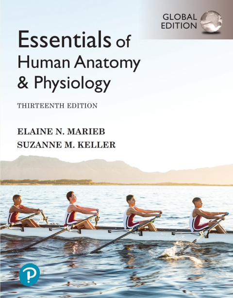 Essentials of Human Anatomy \u0026 Physiology, Global Edition 