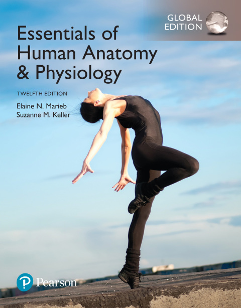 Essentials of Human Anatomy and Physiology, Global Edition 