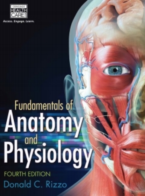 Cover image for book MindTap Basic Health Science for Rizzo's Fundamentals of Anatomy and Physiology, 4th Edition, [Instant Access], 2 terms (12 months)
