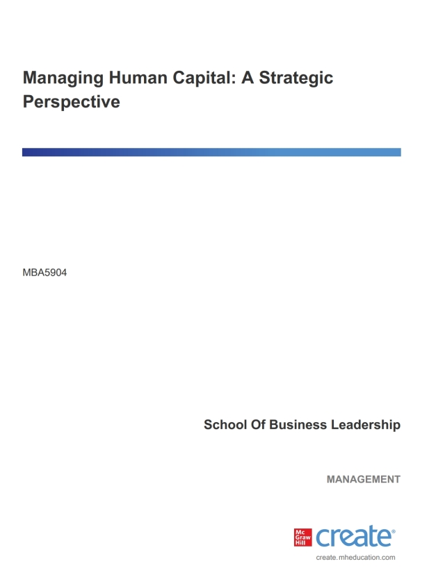 Managing Human Capital a Strategic Perspective
