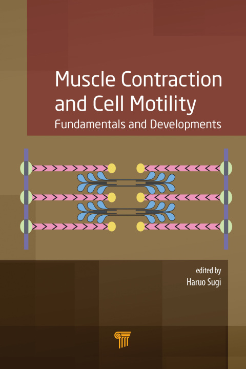 Cover image for book Muscle Contraction and Cell Motility