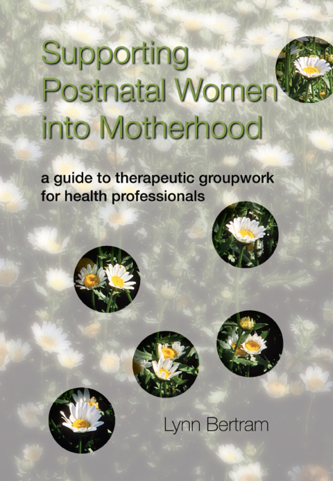 Cover image for book Supporting Postnatal Women into Motherhood