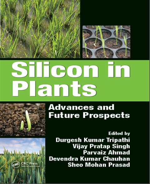 Cover image for book Silicon in Plants