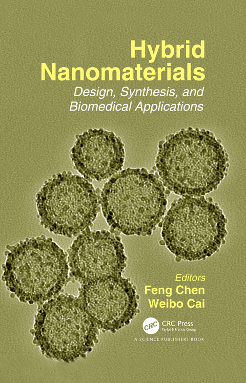 Cover image for book Hybrid Nanomaterials