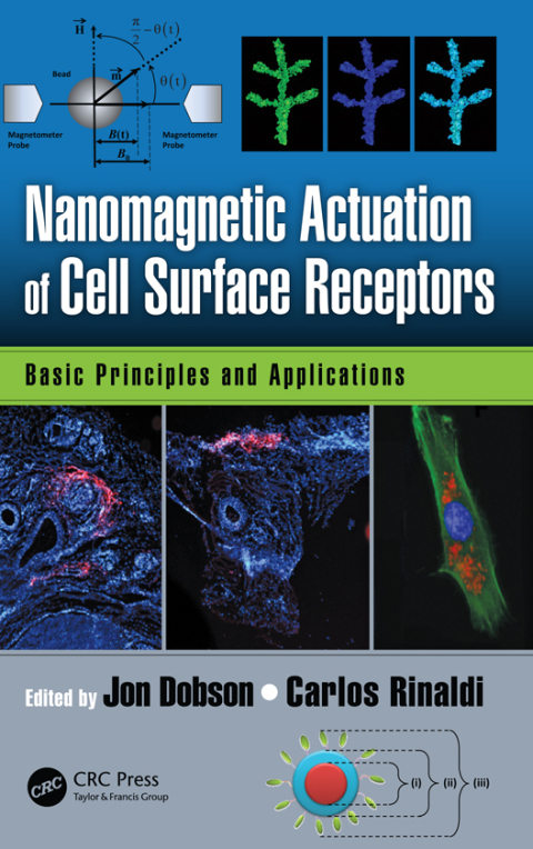 Cover image for book Nanomagnetic Actuation in Biomedicine