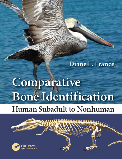 Cover image for book Comparative Bone Identification