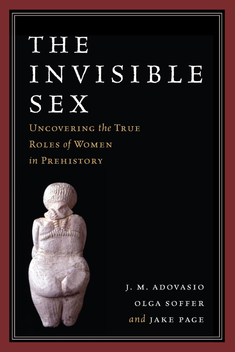 Cover image for book The Invisible Sex