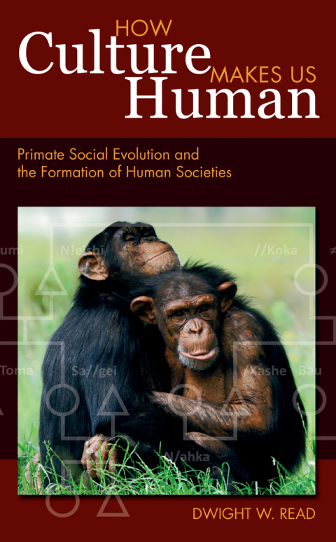 Cover image for book How Culture Makes Us Human