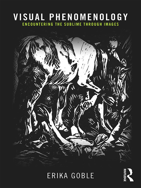 Cover image for book Visual Phenomenology