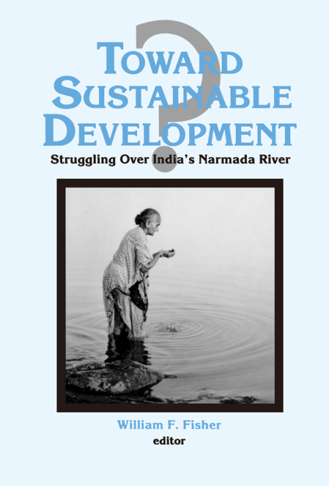 Cover image for book Toward Sustainable Development?