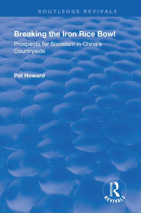 Cover image for book Breaking the Iron Rice Bowl