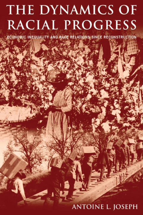 Cover image for book The Dynamics of Racial Progress