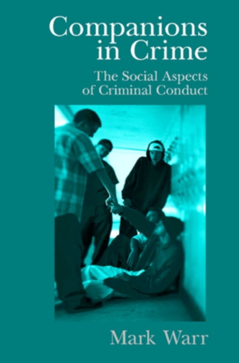 Cover image for book Companions in Crime