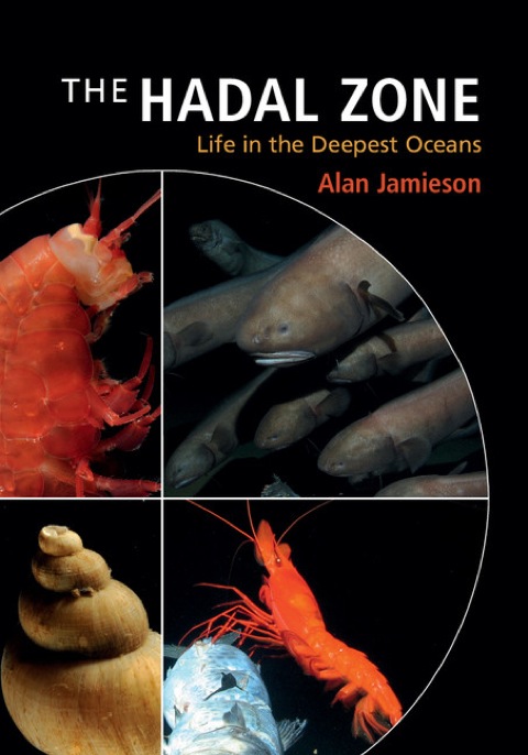 Cover image for book The Hadal Zone