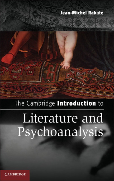 Cover image for book The Cambridge Introduction to Literature and Psychoanalysis