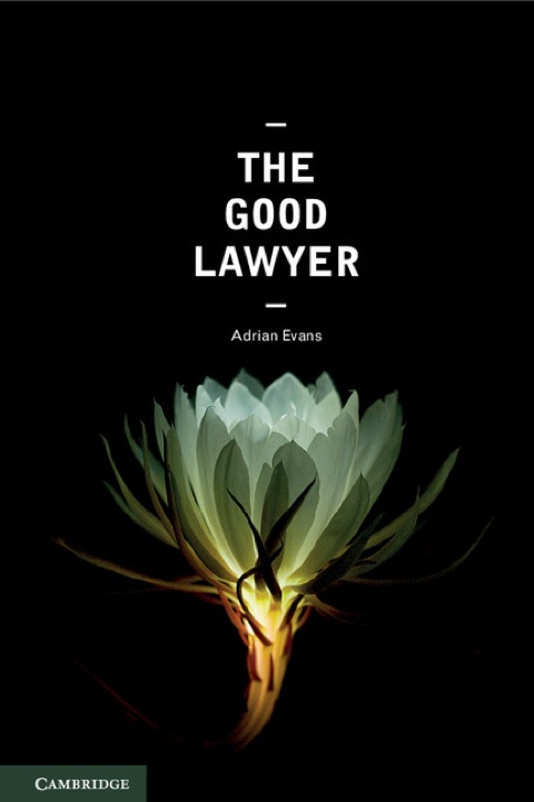 Cover image for book The Good Lawyer