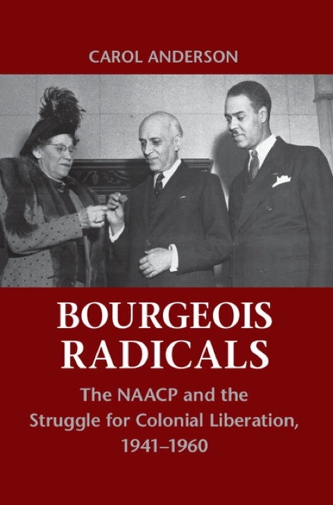 Cover image for book Bourgeois Radicals
