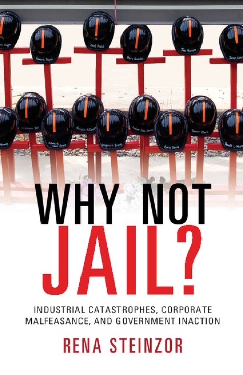 Cover image for book Why Not Jail?