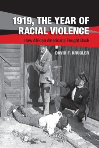 Titelbild: 1919, The Year of Racial Violence 1st edition 9781107061798