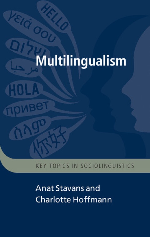 Cover image for book Multilingualism