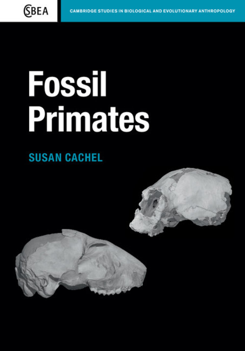 Cover image for book Fossil Primates