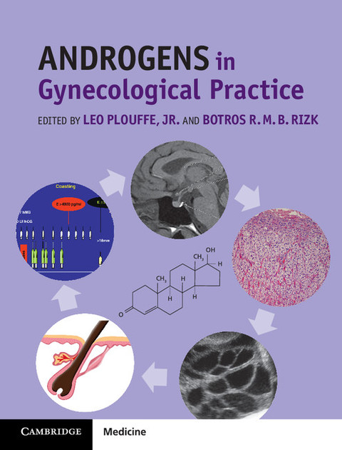 Cover image for book Androgens in Gynecological Practice