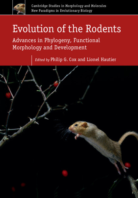 Cover image for book Evolution of the Rodents: Volume 5