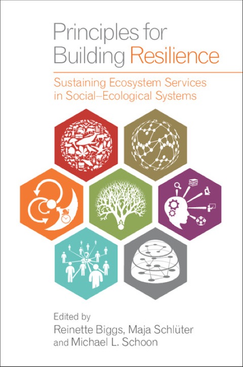 Cover image for book Principles for Building Resilience