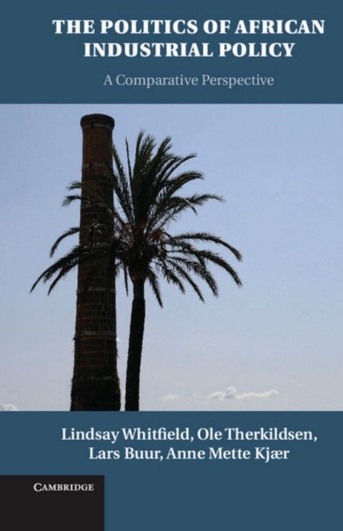 Cover image for book The Politics of African Industrial Policy
