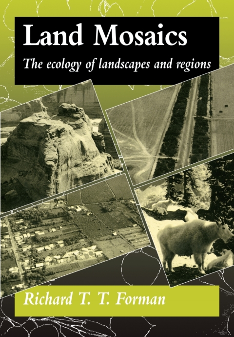 Cover image for book Land Mosaics
