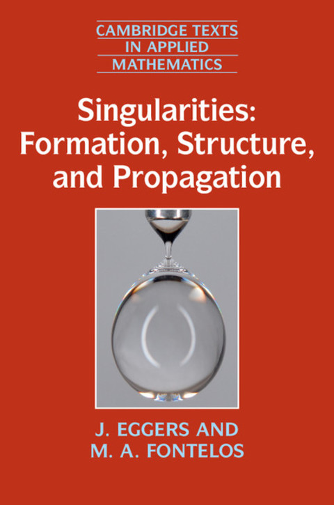 Cover image for book Singularities: Formation, Structure, and Propagation