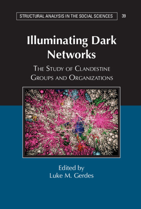 Cover image for book Illuminating Dark Networks