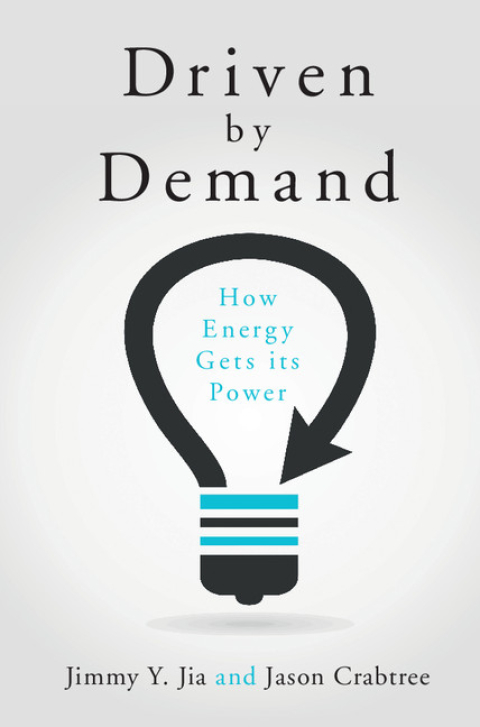 Cover image for book Driven by Demand