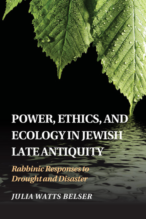 Cover image for book Power, Ethics, and Ecology in Jewish Late Antiquity