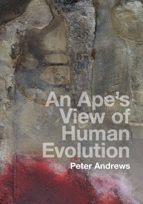 An Ape's View of Human Evolution 