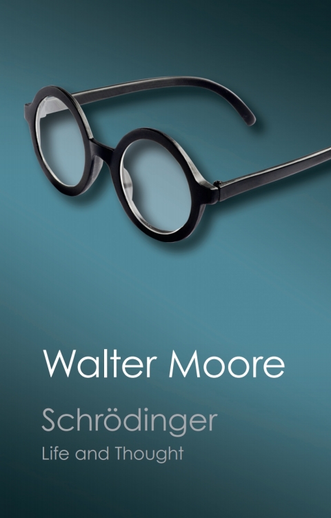 Cover image for book Schrödinger