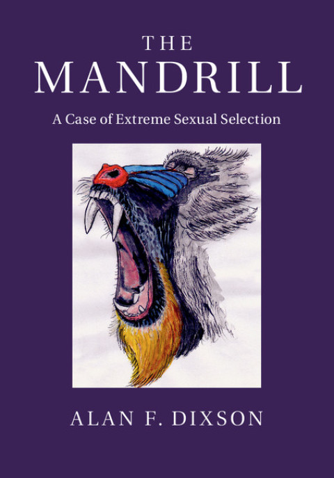 Cover image for book The Mandrill