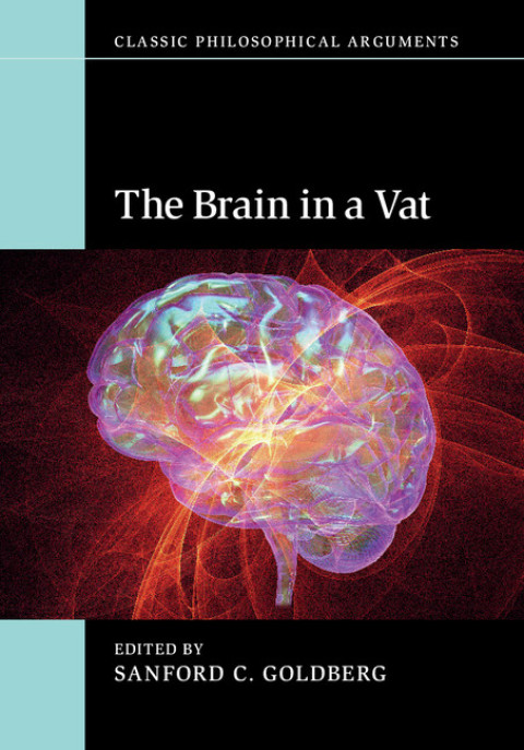Cover image for book The Brain in a Vat