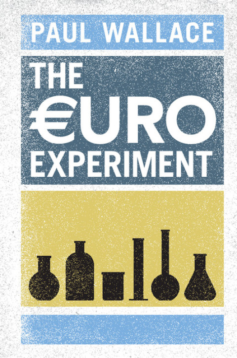 Cover image for book The Euro Experiment