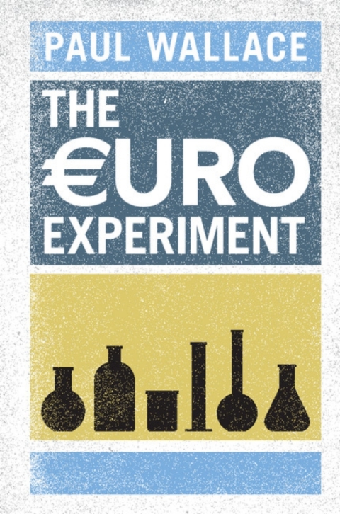 Cover image for book The Euro Experiment