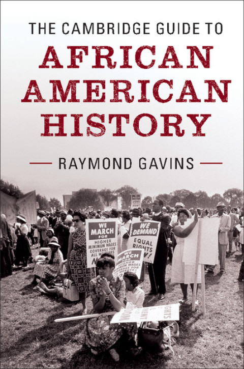 Cover image for book The Cambridge Guide to African American History